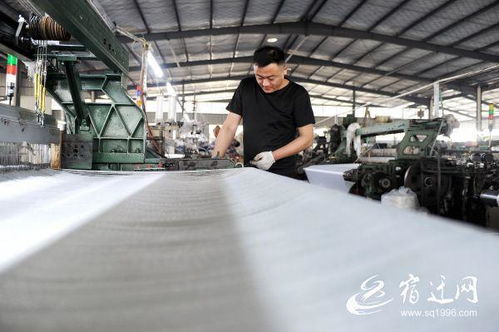 宿遷 家門口就業(yè)助民增收