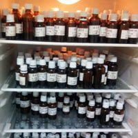 L-羥脯氨酸 生產工藝、應用與市場前景